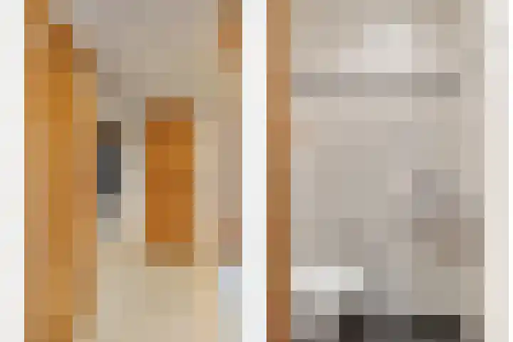 Molengaarde 66 Doesburg thumbnail 9