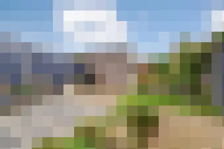 Molengang 22 Zeewolde thumbnail 28