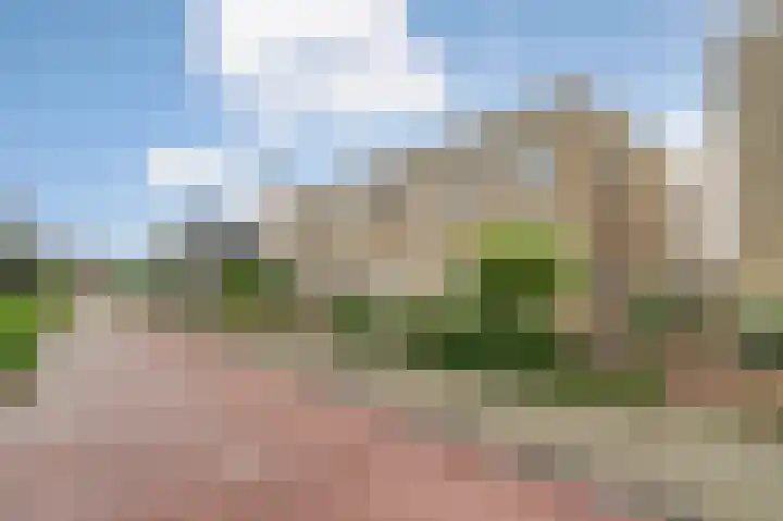 Molengang 22 Zeewolde thumbnail 33