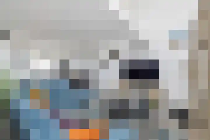 Molengang 220 Anna Paulowna thumbnail 13