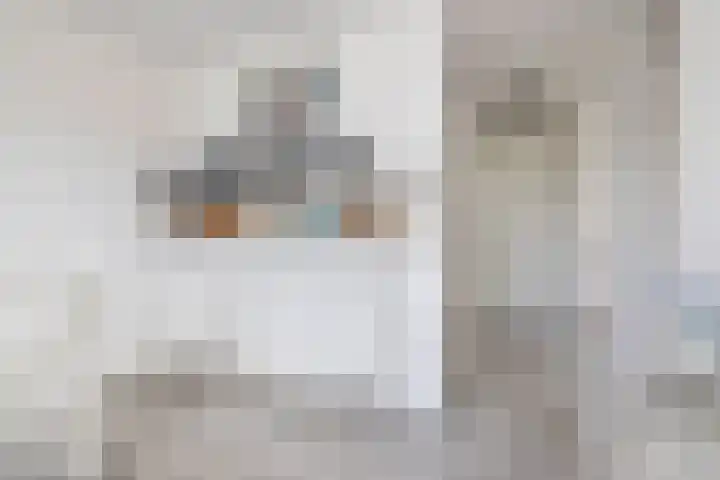 Molengang 220 Anna Paulowna thumbnail 22