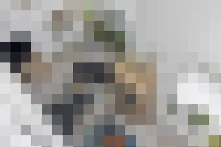 Molengang 220 Anna Paulowna thumbnail 23