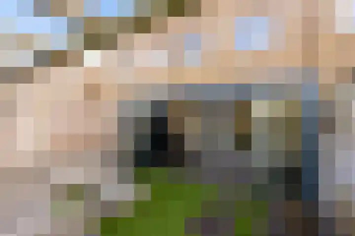Molengang 24 Zeewolde thumbnail 29