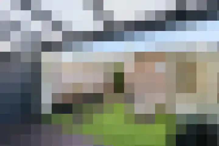 Molengang 24 Zeewolde thumbnail 35