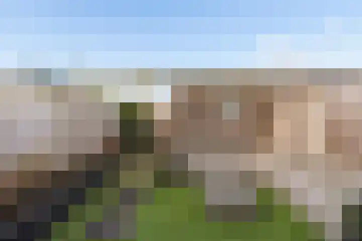 Molengang 24 Zeewolde thumbnail 36