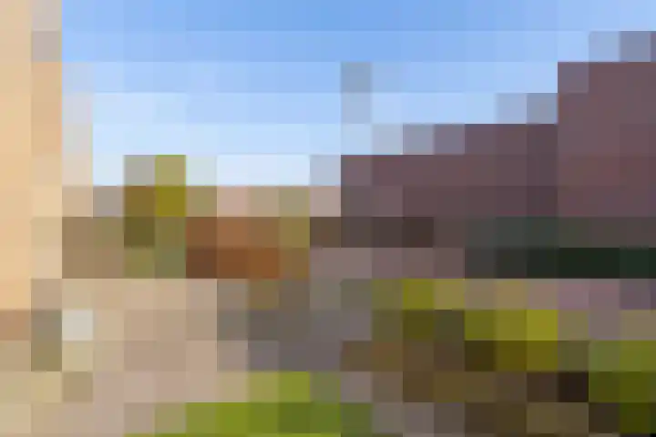 Molengang 24 Zeewolde thumbnail 40