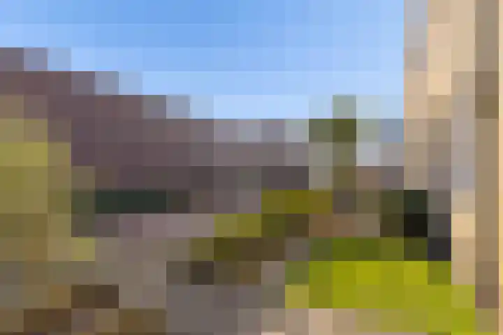 Molengang 24 Zeewolde thumbnail 41