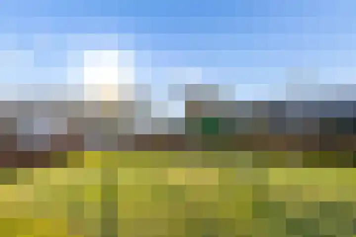 Molengang 24 Zeewolde thumbnail 43