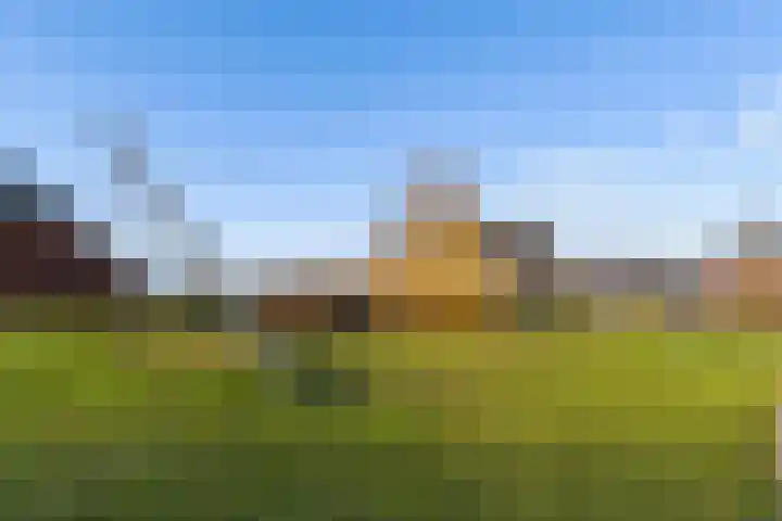 Molengang 24 Zeewolde thumbnail 46