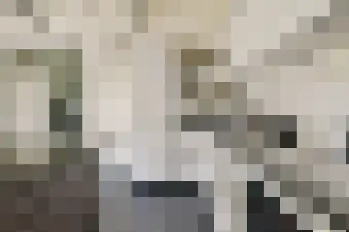 Molengouw 20 Amsterdam foto 2