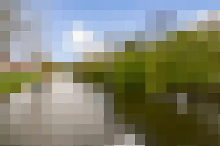 Molengouw 20 Amsterdam thumbnail 20