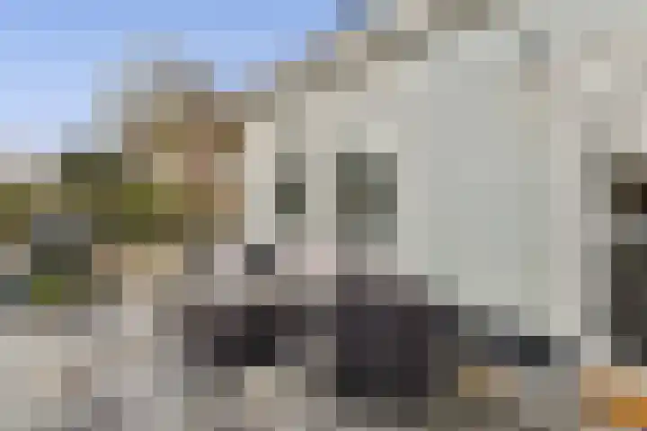 Molengouw 20 Amsterdam thumbnail 5