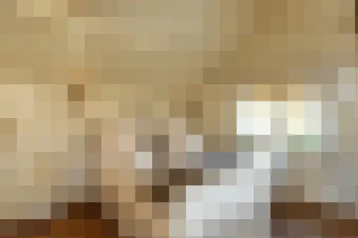 Molengouw 40 Amsterdam thumbnail 14
