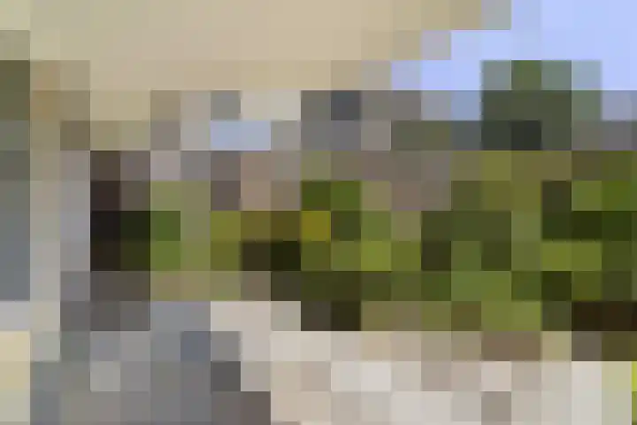 Molengouw 40 Amsterdam thumbnail 18