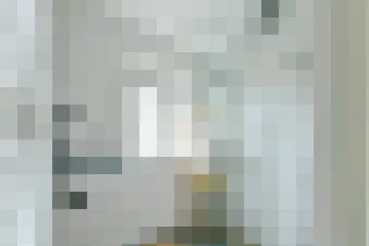 Molengouw 40 Amsterdam thumbnail 20