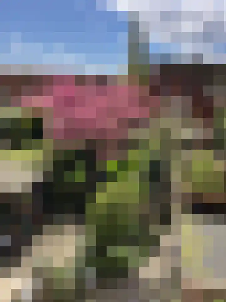 Molengouw 40 Amsterdam thumbnail 28