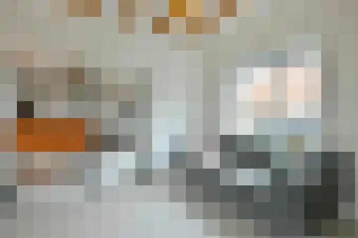 Molengouw 40 Amsterdam thumbnail 9