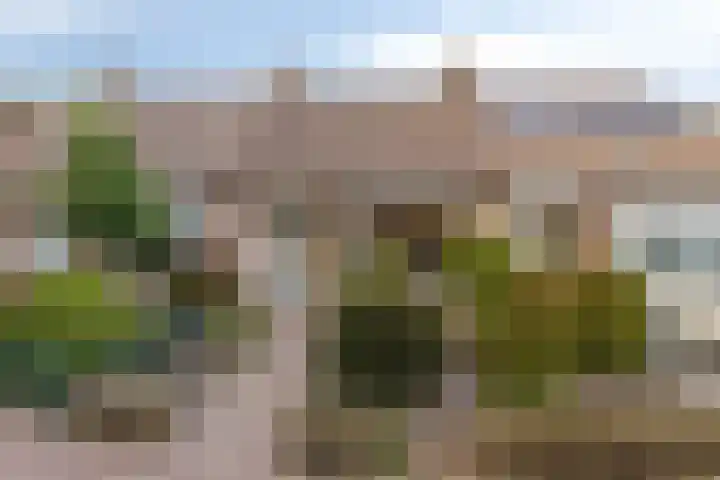 Molengraaf 17 Schaijk