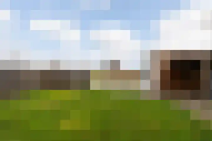 Molengraafseweg 11 Boxtel thumbnail 49