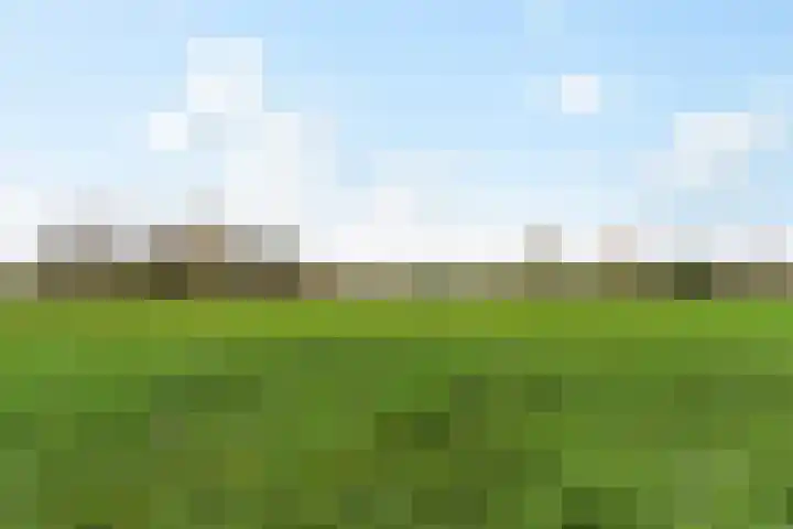 Molengraafseweg 11 Boxtel thumbnail 50