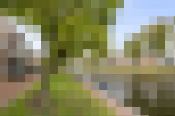Molengracht 20 Den Helder thumbnail 19