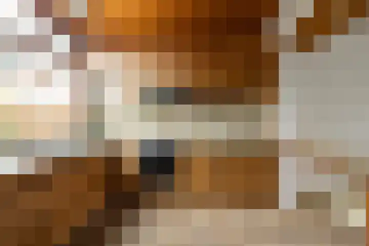 Molengracht 20 Den Helder thumbnail 6