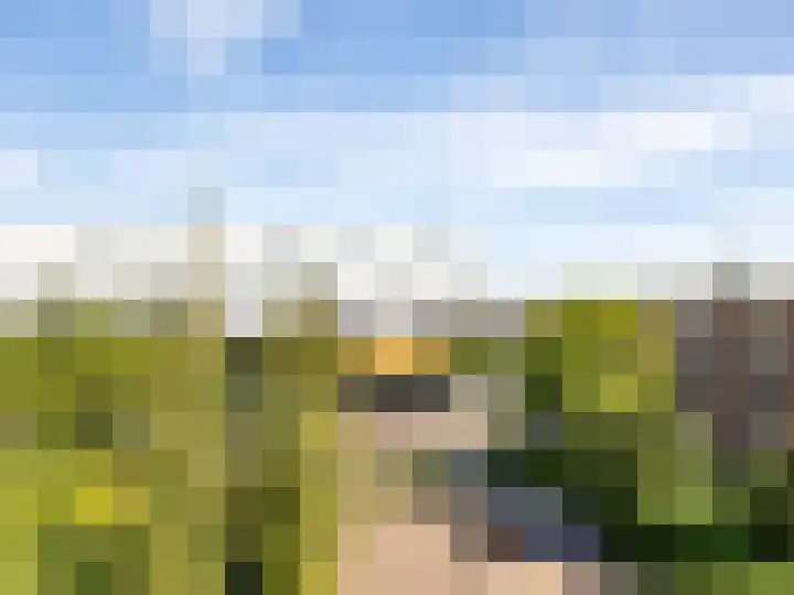 Molengracht 42 Zutphen thumbnail 14