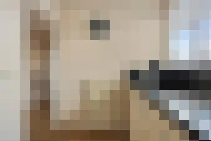 Molengracht 42 Zutphen thumbnail 19
