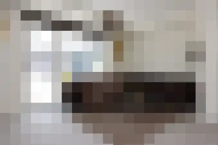 Molengracht 42 Zutphen thumbnail 20