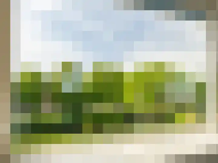 Molengracht 42 Zutphen thumbnail 6