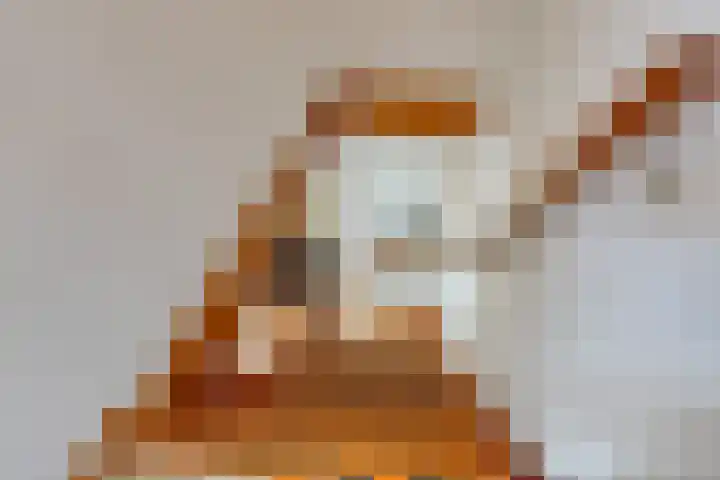 Molengragte 64 Waalre thumbnail 21
