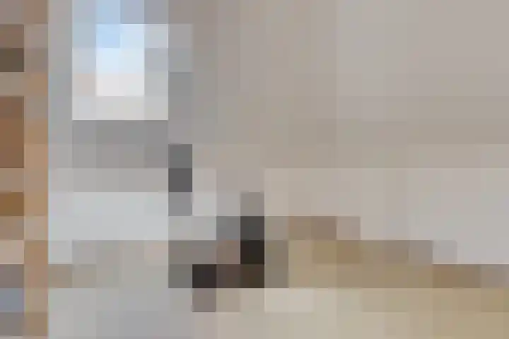 Molengragte 64 Waalre thumbnail 23