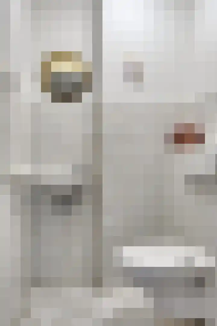 Molengragte 64 Waalre thumbnail 9