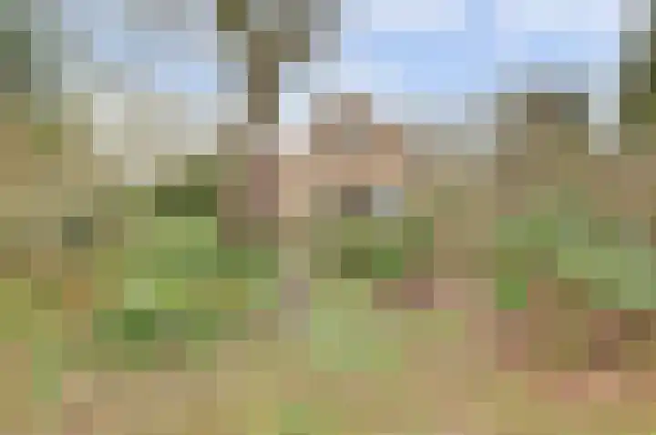 Molenheideweg 8 Beugen thumbnail 45