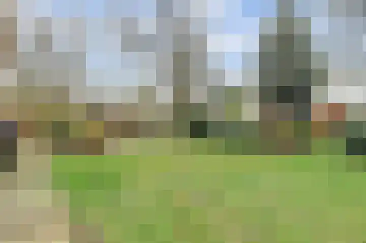 Molenheideweg 8 Beugen thumbnail 46
