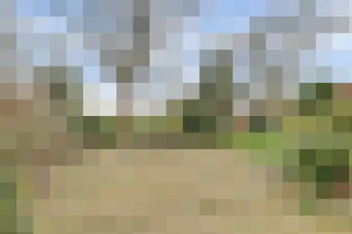 Molenheideweg 8 Beugen thumbnail 47