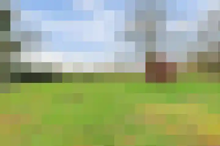 Molenheideweg 8 Beugen thumbnail 48