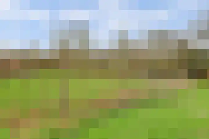 Molenheideweg 8 Beugen thumbnail 50
