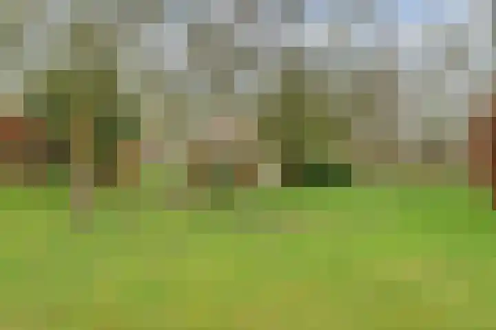 Molenheideweg 8 Beugen thumbnail 51