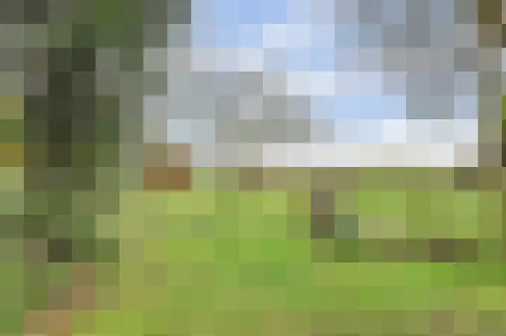 Molenheideweg 8 Beugen thumbnail 52