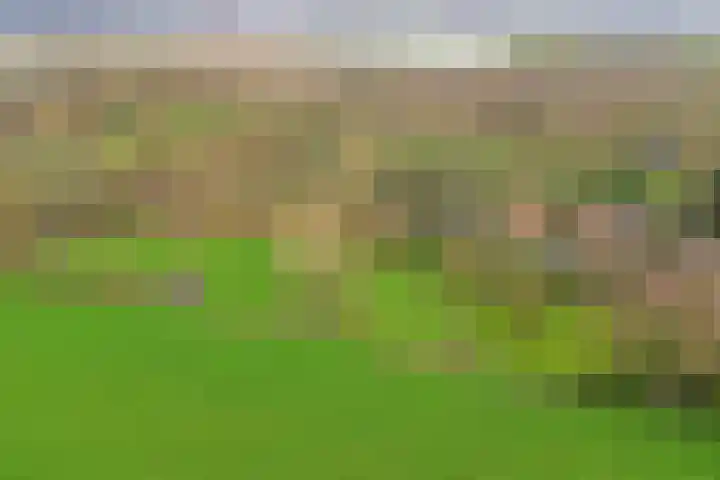 Molenheideweg 8 Beugen thumbnail 57
