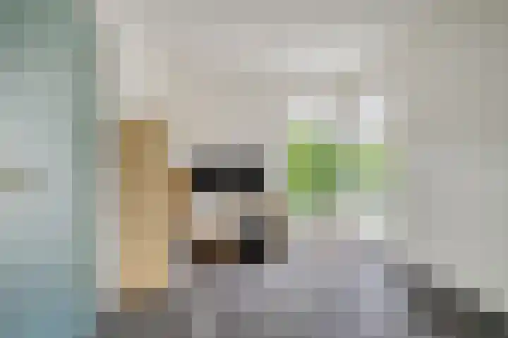 Molenheidseweg 12 Mill thumbnail 10