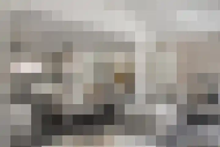 Molenheidseweg 12 Mill thumbnail 11