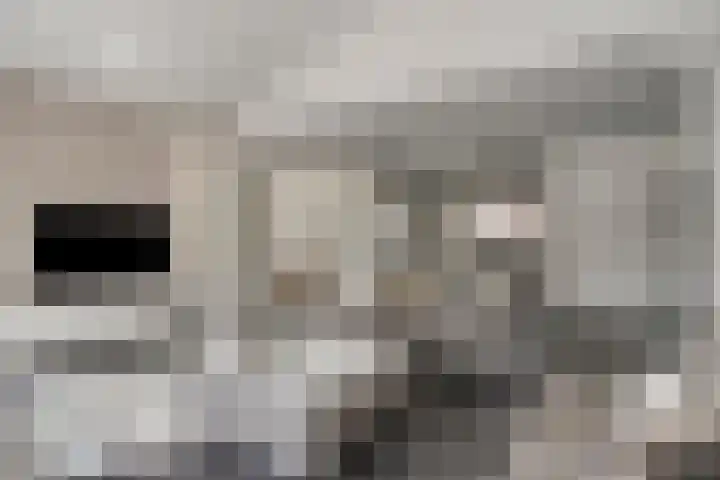 Molenheidseweg 12 Mill thumbnail 12