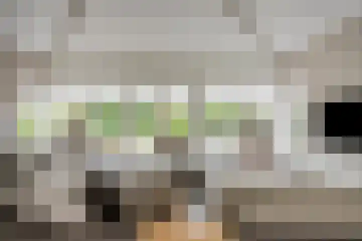 Molenheidseweg 12 Mill thumbnail 14