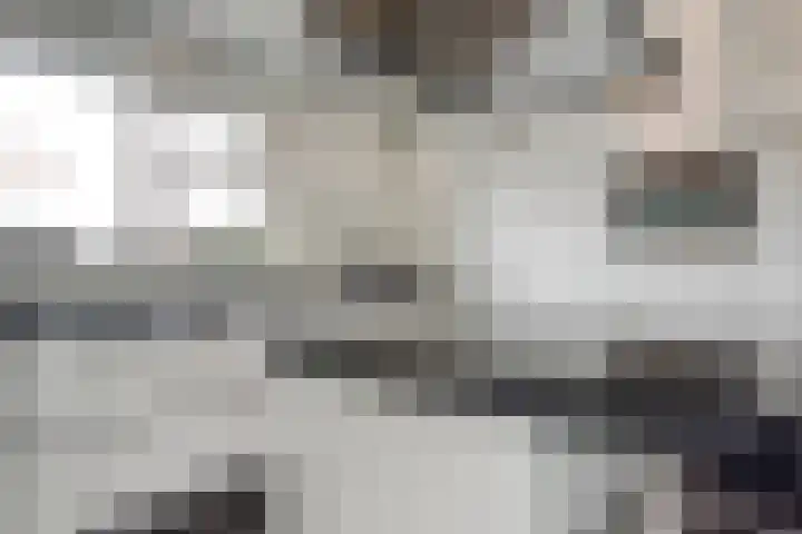 Molenheidseweg 12 Mill thumbnail 22
