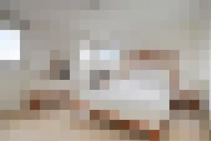Molenheidseweg 12 Mill thumbnail 29