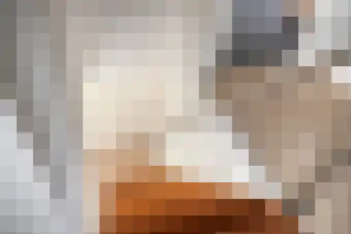 Molenheidseweg 12 Mill thumbnail 34