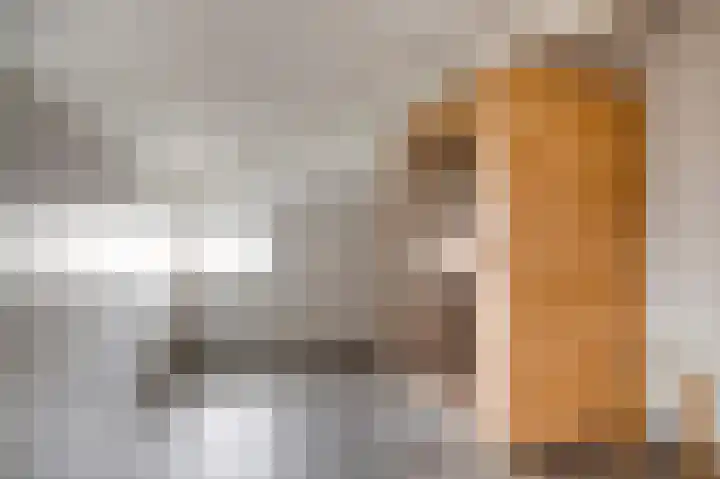 Molenheidseweg 12 Mill thumbnail 41