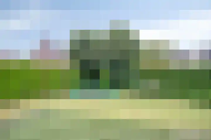 Molenheidseweg 12 Mill thumbnail 54